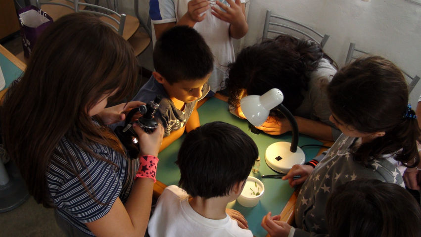 Cubaanse Kinderfeest
